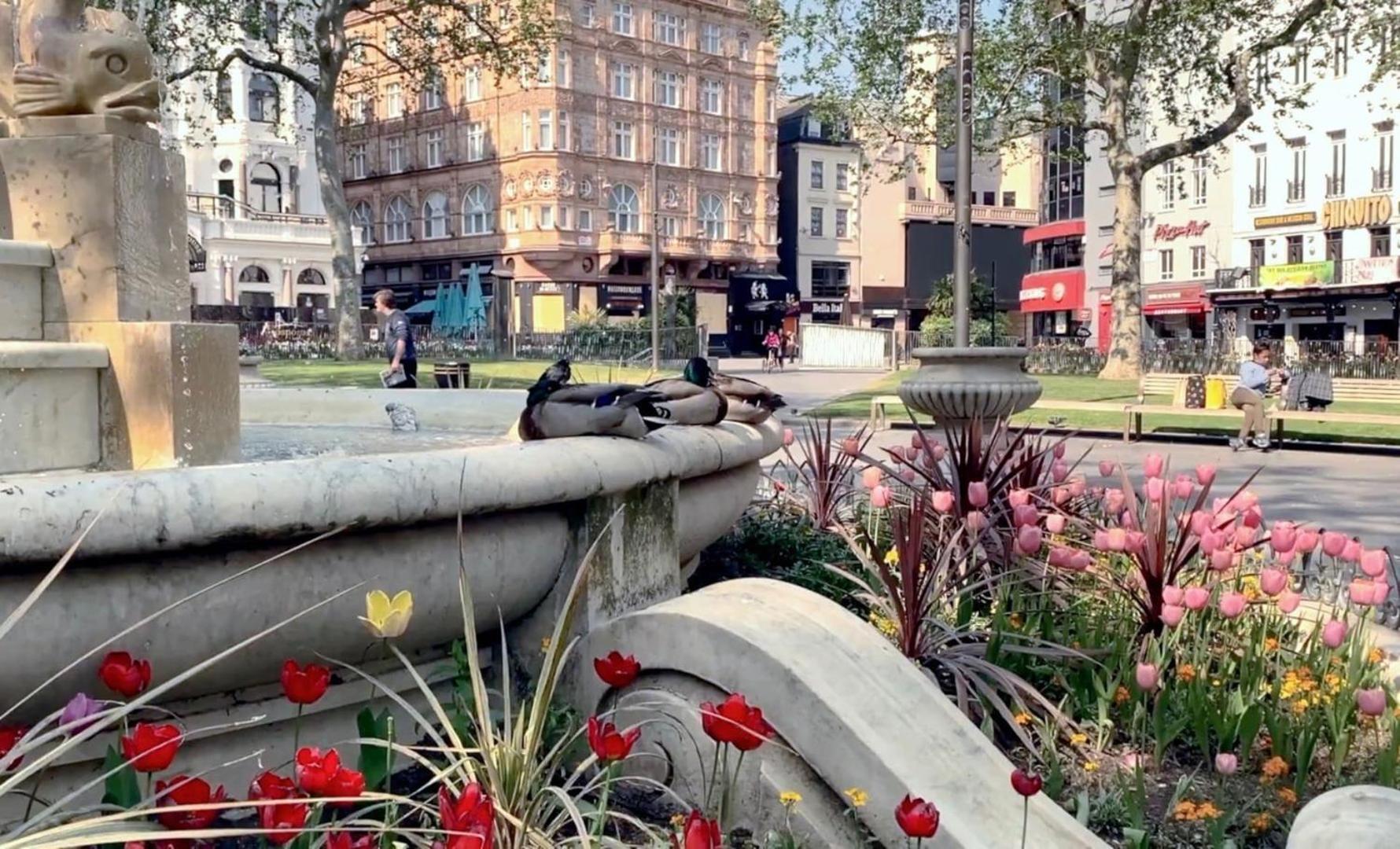 Fantastic 1 Bedroom Flat Leicester Square West End Holiday home